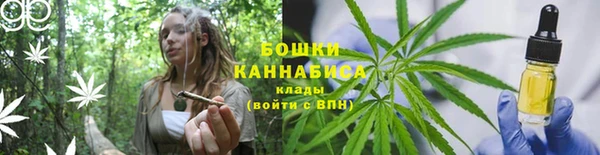 дурь Вяземский