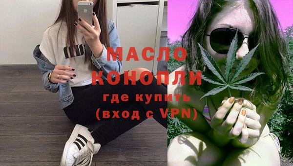 сатива Волоколамск