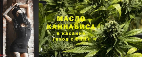 сатива Волоколамск