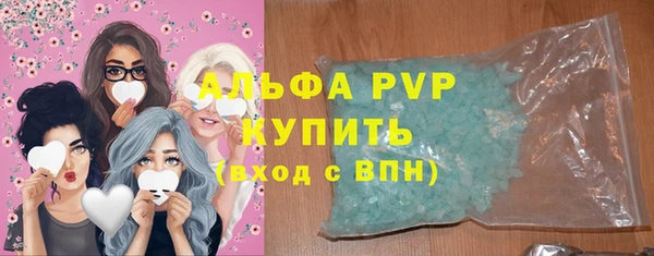 сатива Волоколамск